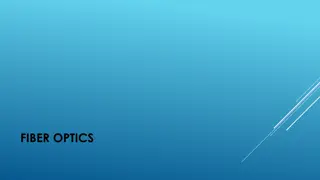 Insights from Adult People and Nature Survey