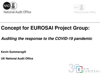 Auditing Response to COVID-19 Pandemic