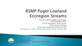 RSMP Receiving Waters and Stream Monitoring Studies