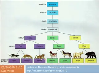 Class Hierarchy and Java Variables