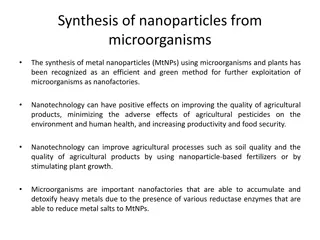 Green Synthesis of Metal Nanoparticles Using Microorganisms