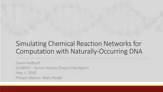Simulating Chemical Reaction Networks for Computation with DNA