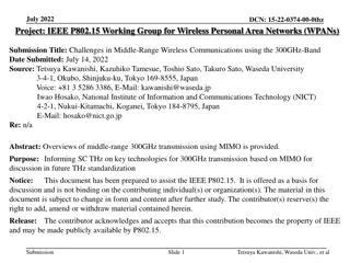 Challenges in Middle-Range Wireless Communications at 300GHz-Band