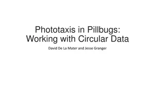 Working with Circular Data in Phototaxis Research