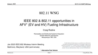Opportunities in AFV Fueling Infrastructure