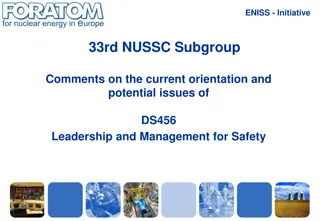 ENISS Initiative for Safety Management: Feedback and Recommendations