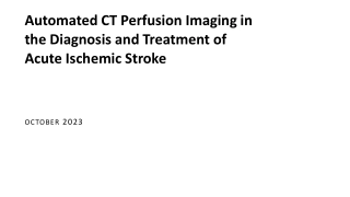 Automated CT Perfusion Imaging in Acute Ischemic Stroke: Overview