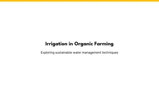 Irrigation in Organic Farming
