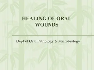 Oral Wound Healing Process
