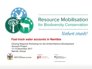 Resource Mobilisation and Natural Capital Accounting in Namibia