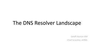 Unveiling the DNS Resolver Landscape Insights