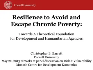 Foundations of Resilience Theory for Development Agencies