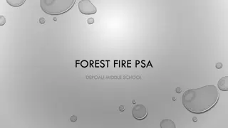 Effective Forest Fire Prevention PSA Campaign