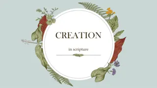Exploring Creation Through Scripture and Wisdom