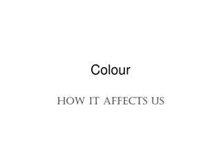 The Impact of Colour on Our Lives
