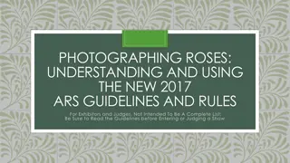 Mastering Rose Photography Guidelines and Rules for Exhibitors and Judges