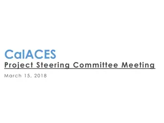 CalACES Project Steering Committee Meeting and Planning Updates