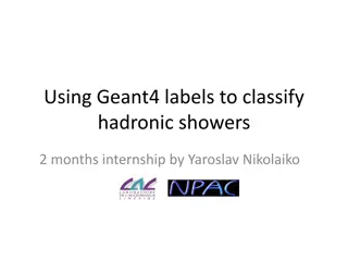 Exploring Hadronic Showers Using Geant4 Labels