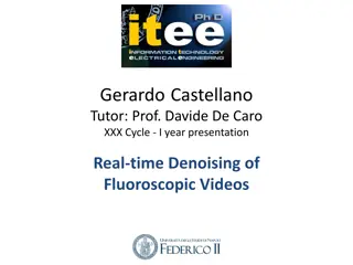 Real-time Denoising of Fluoroscopic Videos by Gerardo Castellano