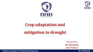 Crop Adaptation and Mitigation to Drought in Rainfed Agriculture