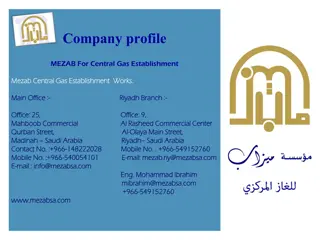 MEZAB for Central Gas Establishment - Specializing in Gas Networks and Safety Devices