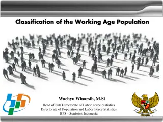 Working Age Population Classification in Indonesia