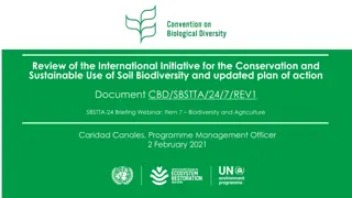 International Initiative for Soil Biodiversity Conservation Review