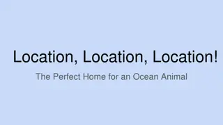Exploring Ocean Life: Birds, Mammals, and Fish of the Deep Blue