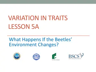 Beetle Adaptation in Changing Environments