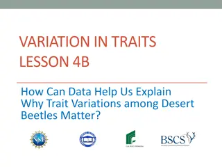 Trait Variations in Desert Beetles