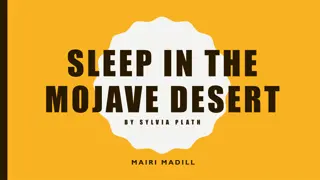 Isolation and the Sublime in 'Sleep in the Mojave Desert' by Sylvia Plath