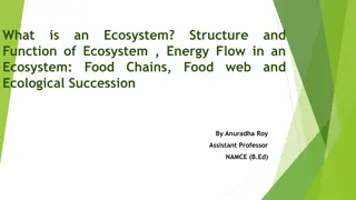 Ecosystems: Structure, Function, and Components