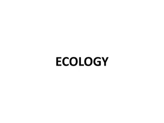 Ecology: Definitions, Branches, and Ecosystem Types