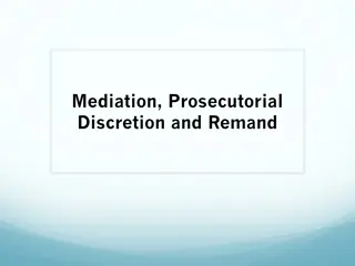 Relief Options for Petitioners and the Role of Mediation