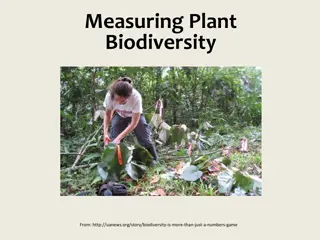 Plant Biodiversity Measurement Techniques