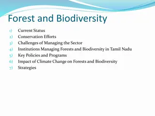 Forest and Biodiversity Conservation in Tamil Nadu: Status, Efforts, and Challenges