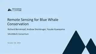 Remote Sensing for Blue Whale Conservation