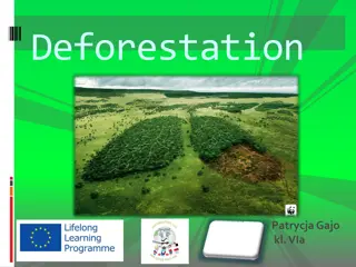 Deforestation