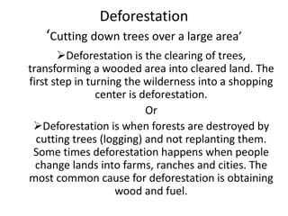 Deforestation: Causes and Impact