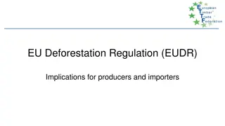 Implications of EU Deforestation Regulation for Producers and Importers