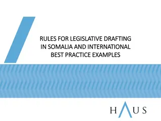 Drafting Legislative Principles and Best Practice Examples in Somalia and Internationally