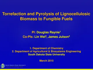 Torrefaction and Pyrolysis of Lignocellulosic Biomass for Renewable Fuel Production