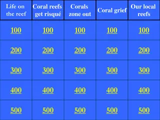 Fascinating Marine Life and Coral Reef Ecosystem Secrets