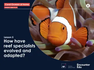 Exploring Reef Specialist Evolution and Adaptation