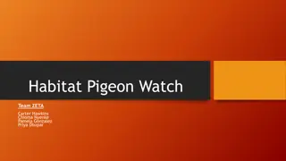 Natural Selection in Local Pigeon Populations