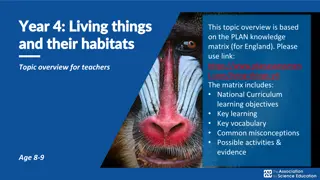 Exploring Year 4 Living Things and Habitats
