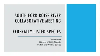 Collaborative Meeting for Species Conservation in South Fork Boise River