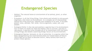 Endangered Species and Ecosystems