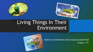 Endangered Species and How to Help Them