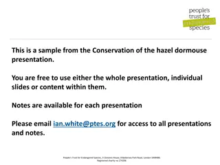 Conservation of the Hazel Dormouse